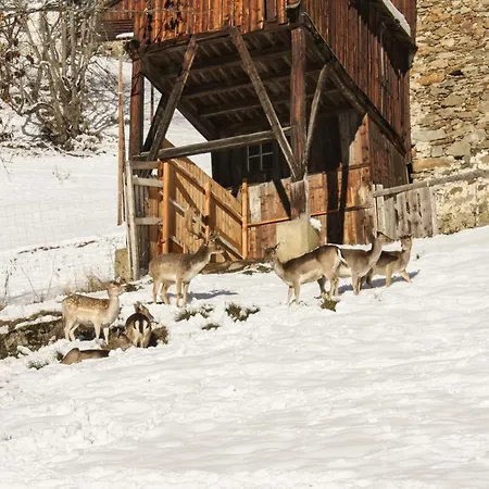 شقة Panorama Reich اوتز