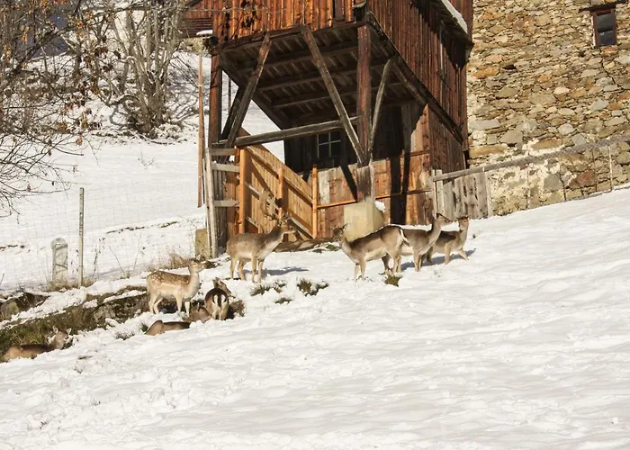 公寓 Panorama Reich 厄茨